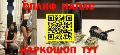 шишки Обь
