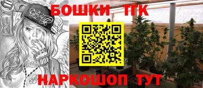 шишки Обь