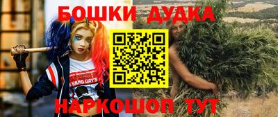 шишки Обь