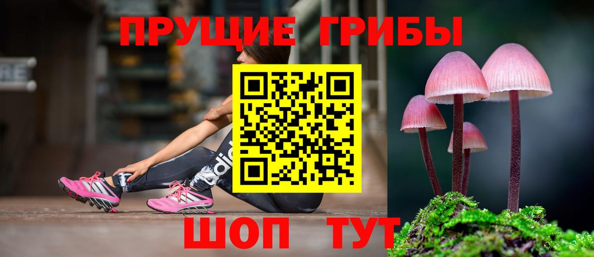 Псилоцибиновые грибы Psilocybe Ржев